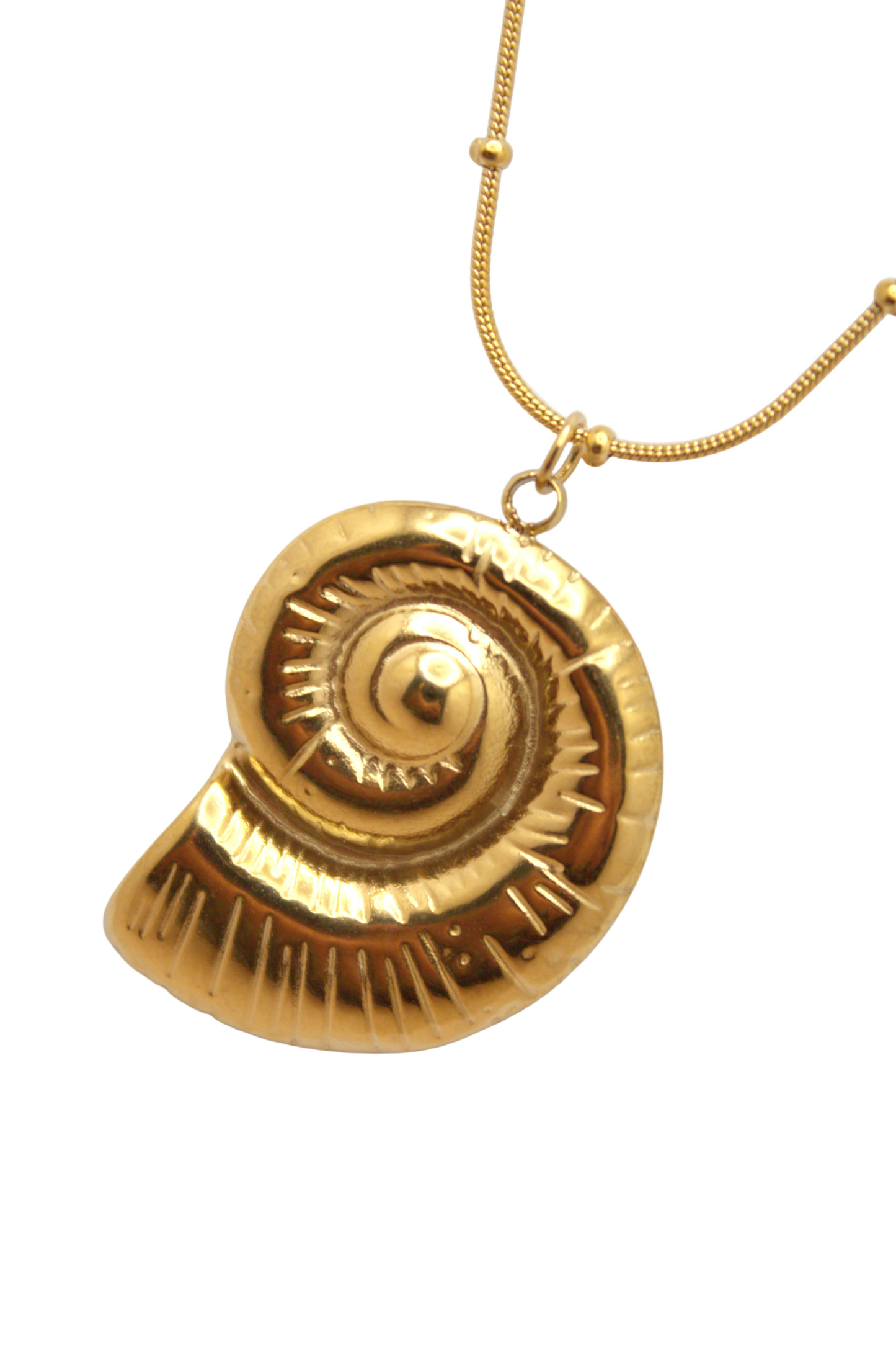 Ocean-inspired Golden Seashell Necklace with micro-bead chain