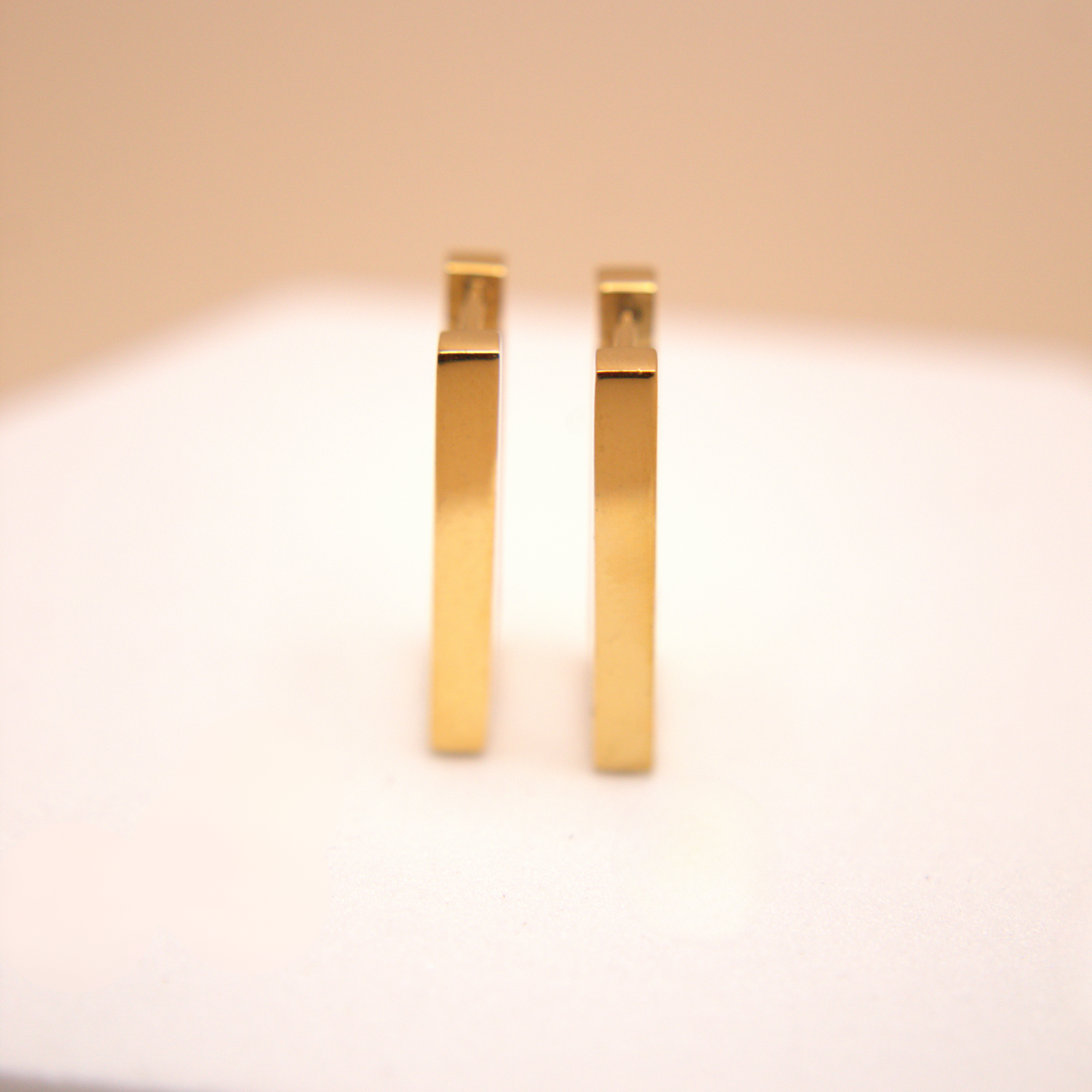 Carla Large Hoops