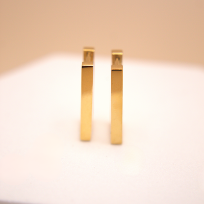 Carla Large Hoops