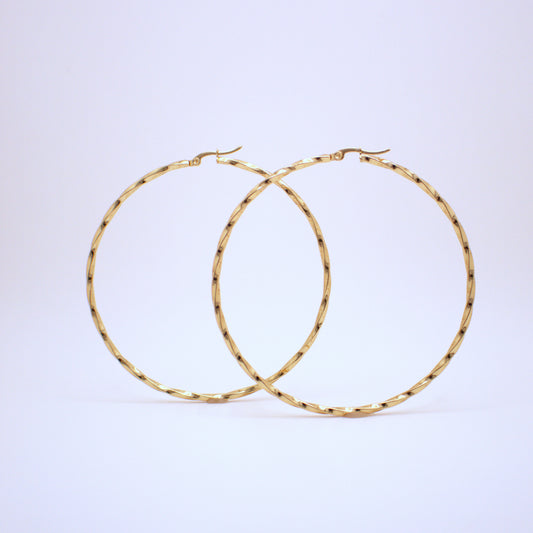 Arena Hoops