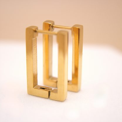 Carla Large Hoops