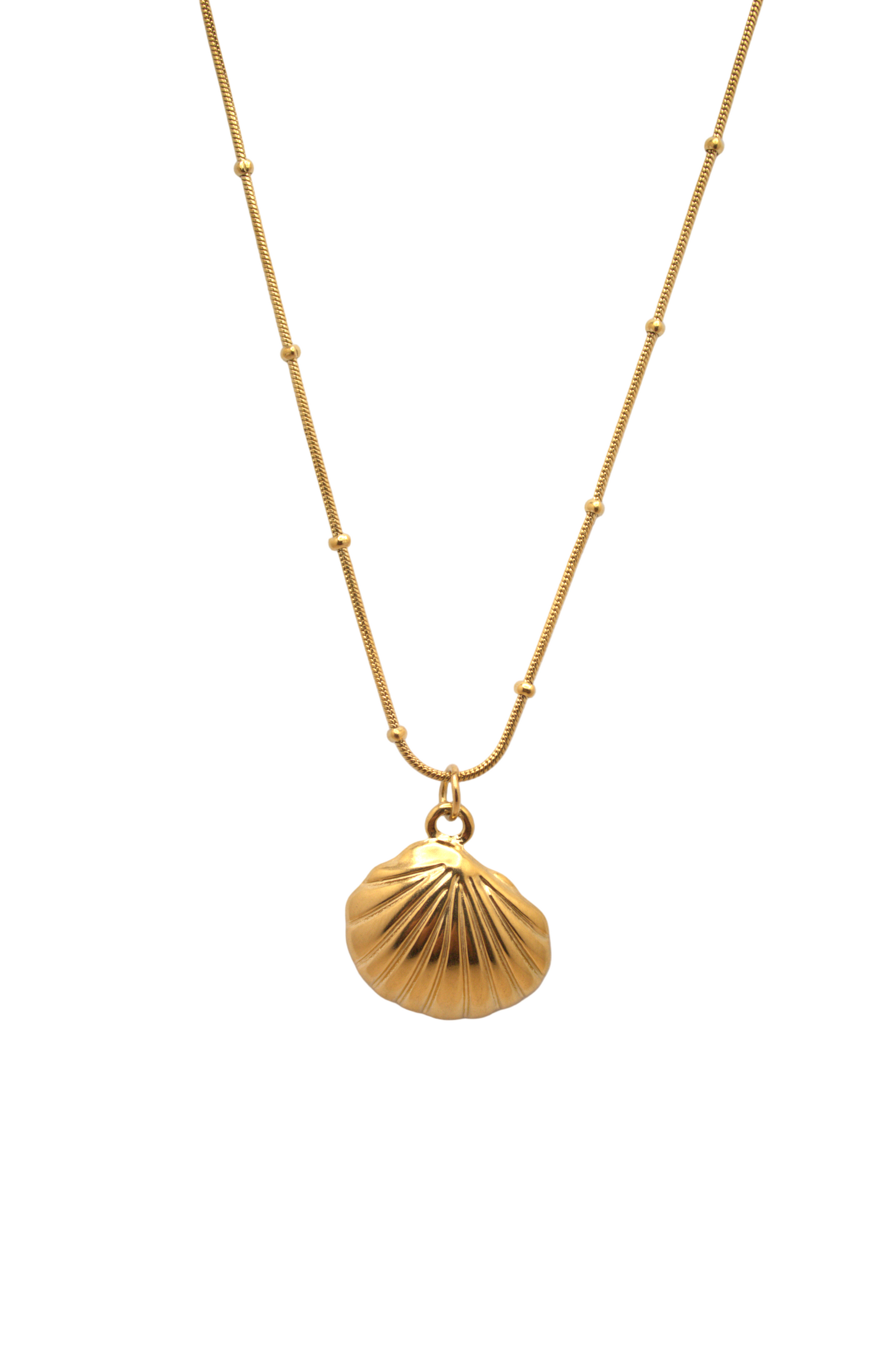 Sunlit Shell Necklace in gold with seashell pendant and delicate chain