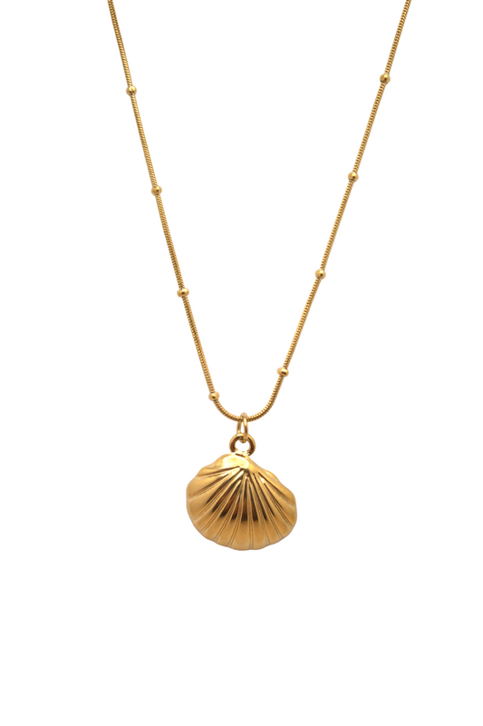 Sunlit Shell Necklace in gold with seashell pendant and delicate chain