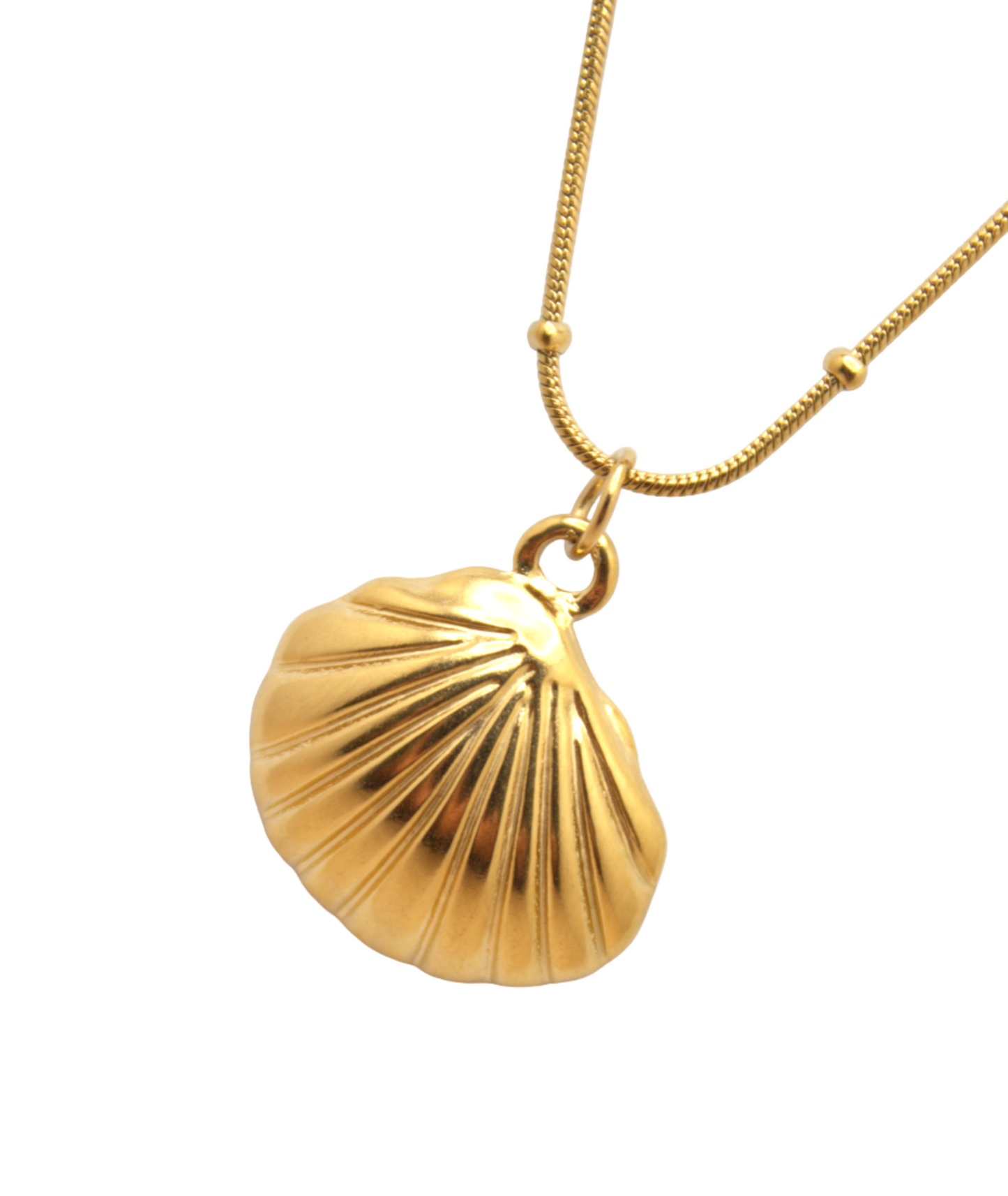 Gold stainless steel necklace featuring seashell charm by Selva Accessories
